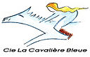 logo_cavaliere_3cm_google.jpg